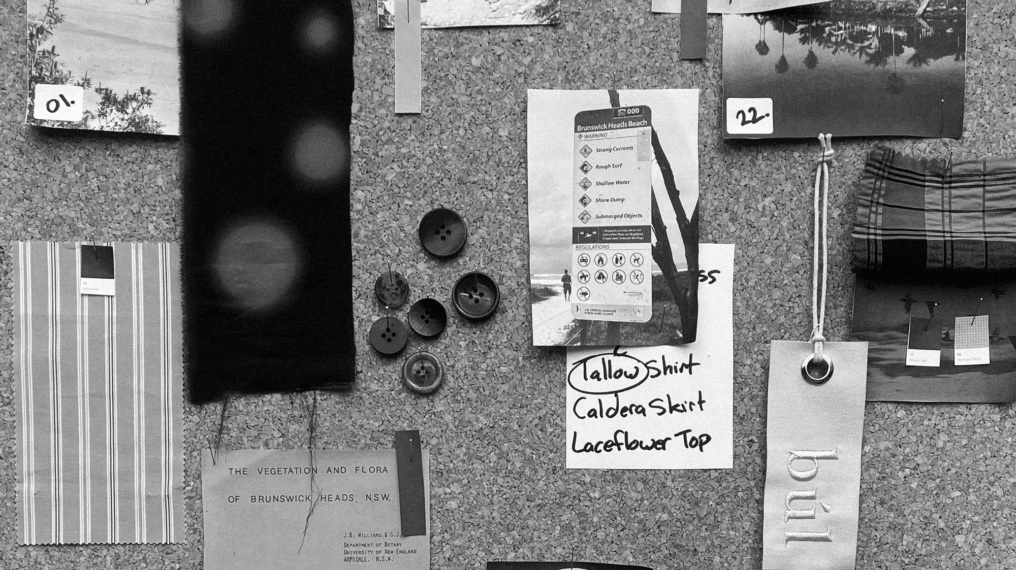 Field notes from Brunswick Heads
