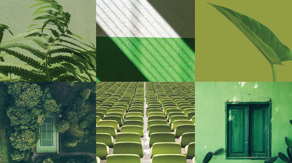 Collage of green toned images