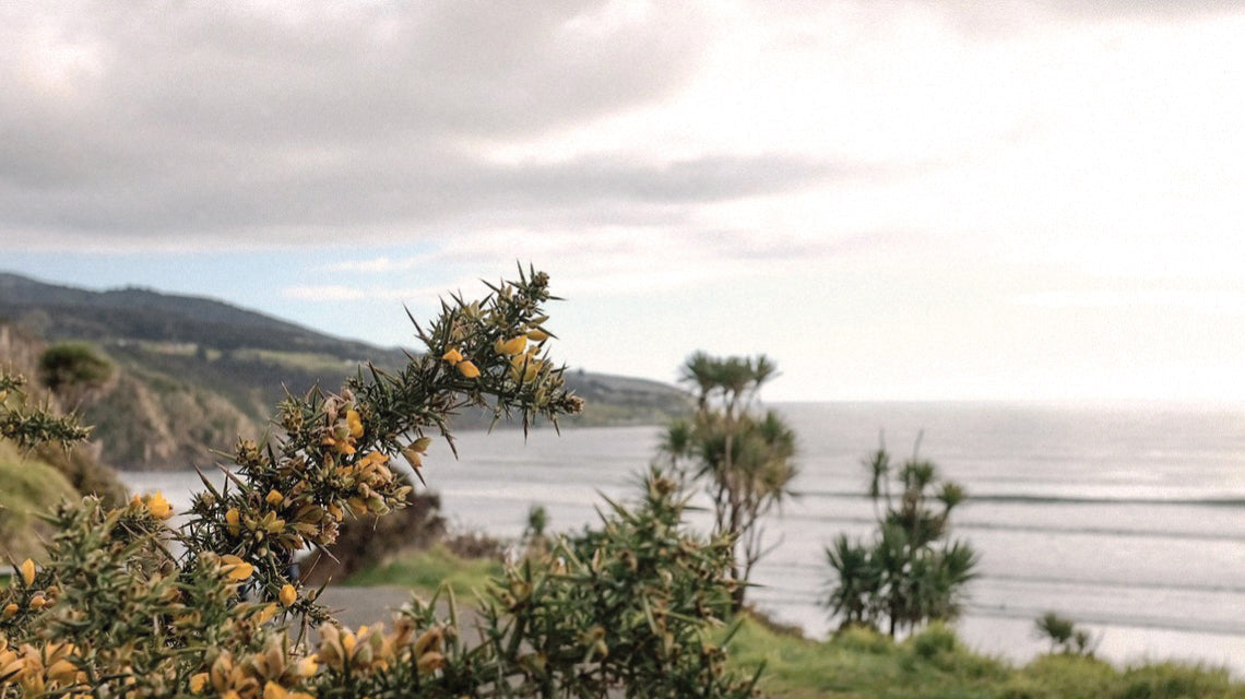 Landscape view of a Raglan coastline in New Zealand.