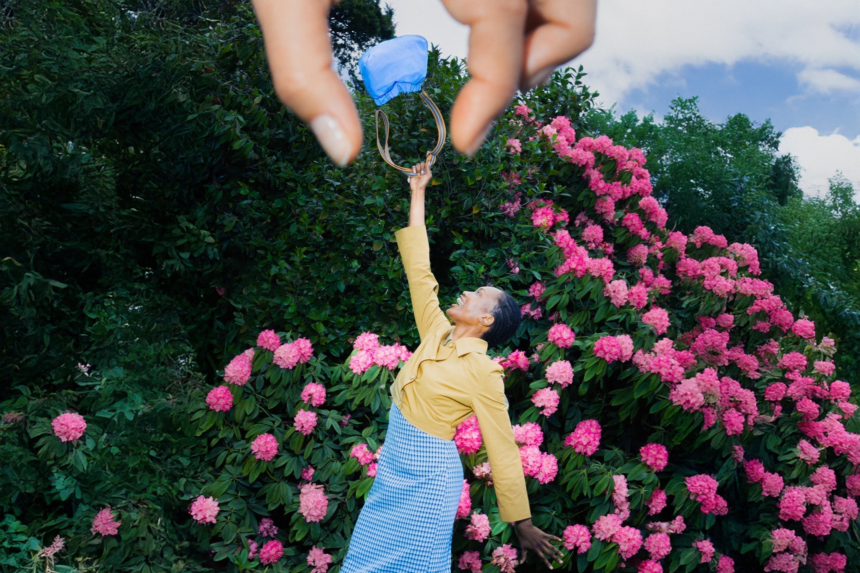 Crumpler x búl: Fruits of the Forest