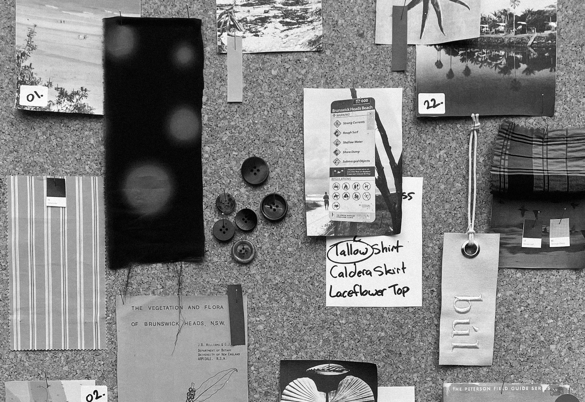 Field notes from Brunswick Heads