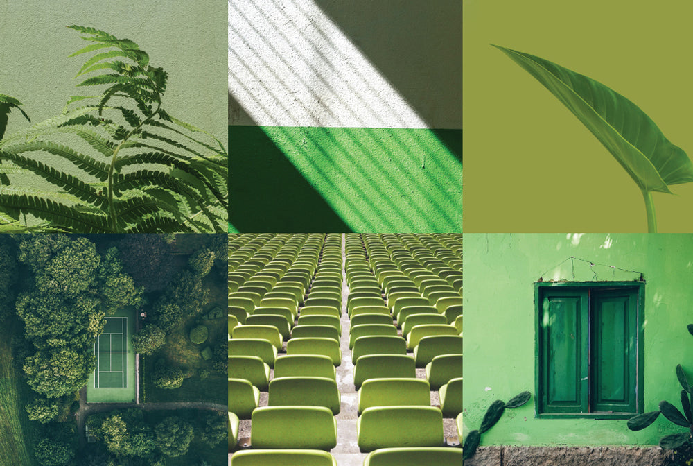 Collage of green toned images