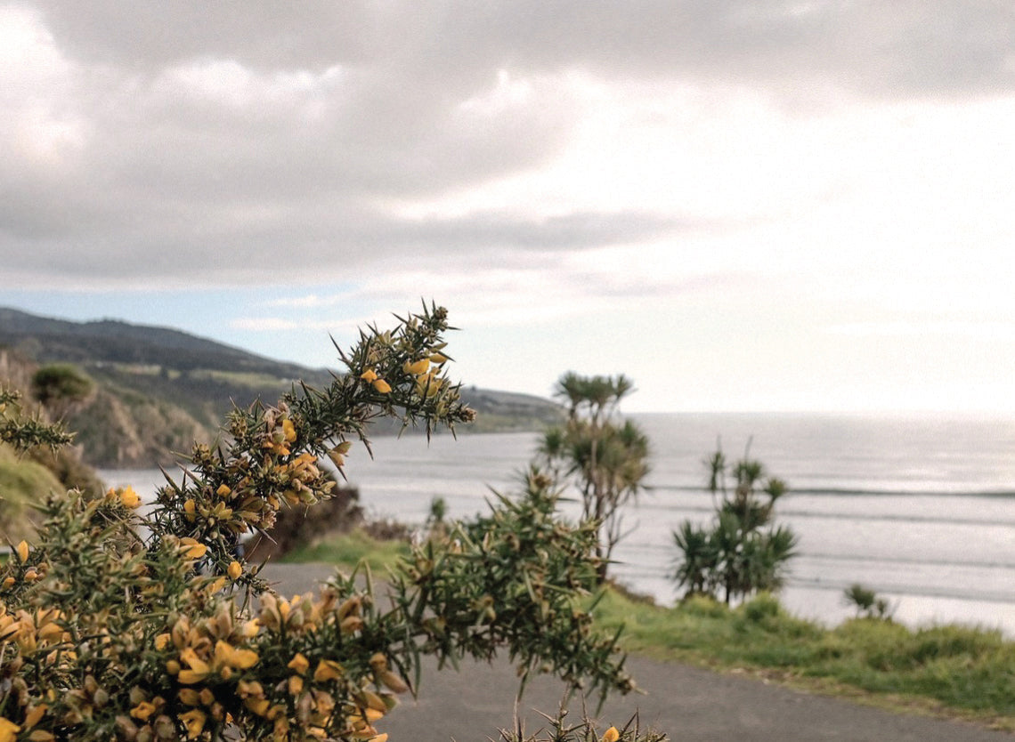 Postcards From Raglan