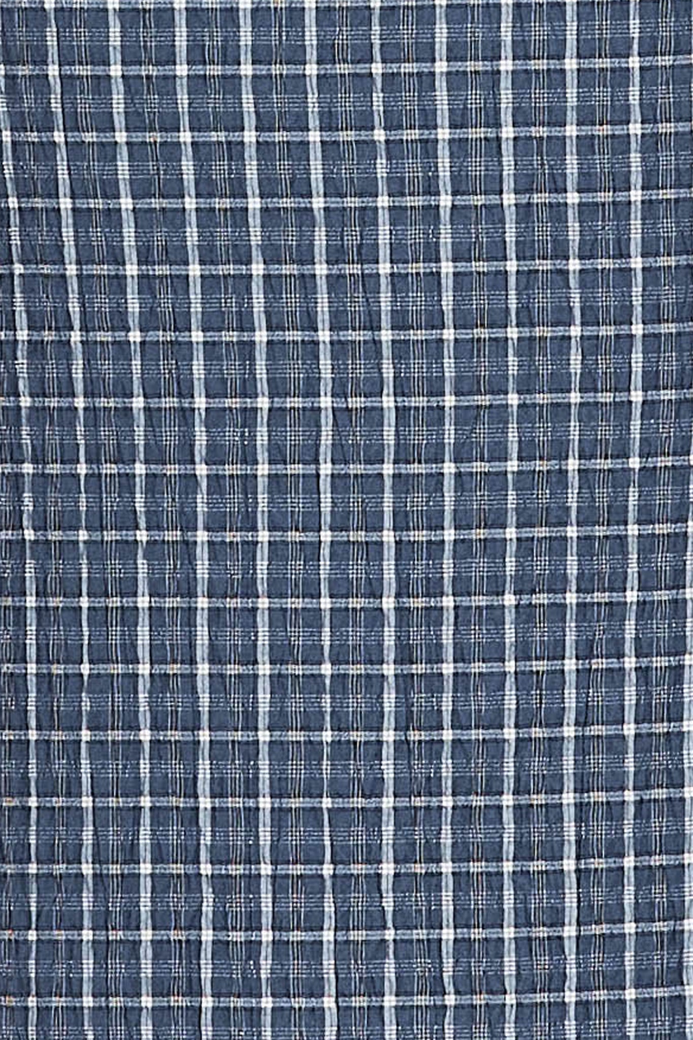 Fabric swatch of blue and white check fabric of the dress